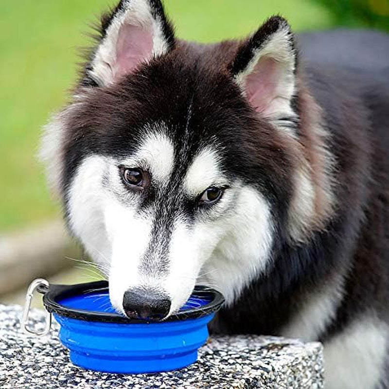 Large Collapsible Dog Bowls - 2 Pack, 34oz Foldable Travel Bowls for Pets, Portable Water and Food Dishes with Clasp, Ideal for Traveling, Walking, and Hiking