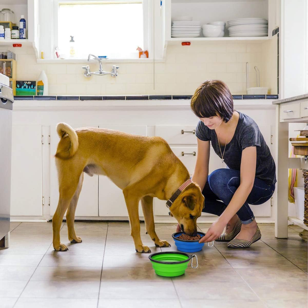 Large Collapsible Dog Bowls - 2 Pack, 34oz Foldable Travel Bowls for Pets, Portable Water and Food Dishes with Clasp, Ideal for Traveling, Walking, and Hiking