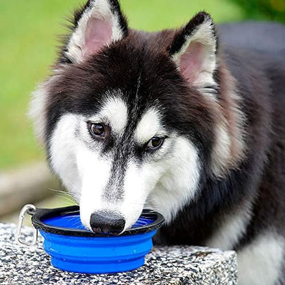 Large Collapsible Dog Bowls - 2 Pack, 34oz Foldable Travel Bowls for Pets, Portable Water and Food Dishes with Clasp, Ideal for Traveling, Walking, and Hiking