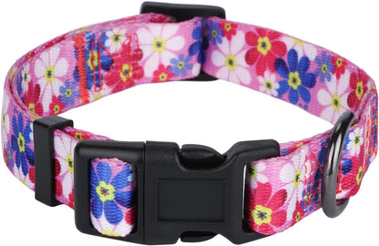 American Flag Dog Collar Independence Day Fourth of July the Great America Dog Collars Small