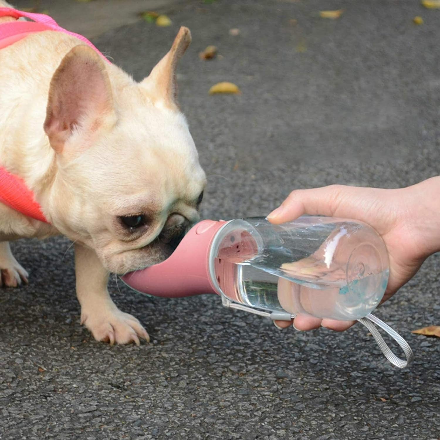 Portable Leak-Proof Dog Water Bottle - Travel-Friendly Pet Water Dispenser for Dogs and Puppies