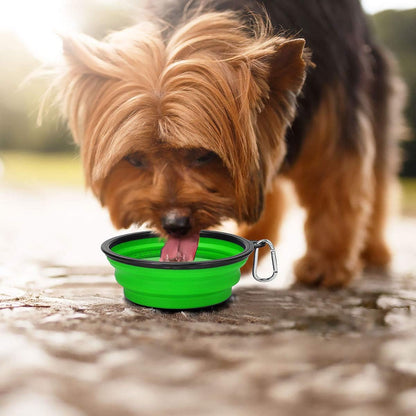 Large Collapsible Dog Bowls - 2 Pack, 34oz Foldable Travel Bowls for Pets, Portable Water and Food Dishes with Clasp, Ideal for Traveling, Walking, and Hiking
