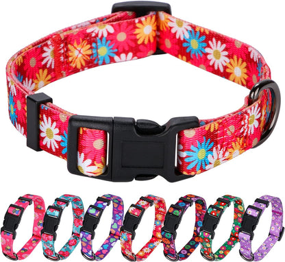 American Flag Dog Collar Independence Day Fourth of July the Great America Dog Collars Small