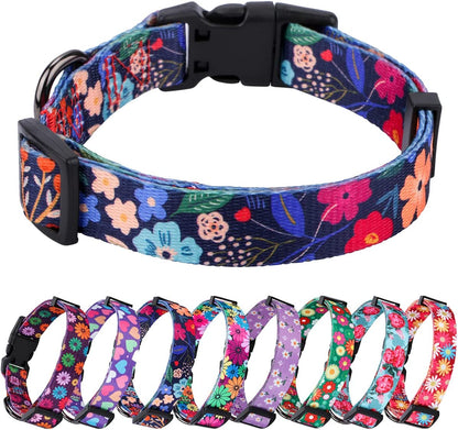American Flag Dog Collar Independence Day Fourth of July the Great America Dog Collars Small